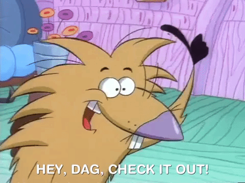 angry beavers nicksplat GIF