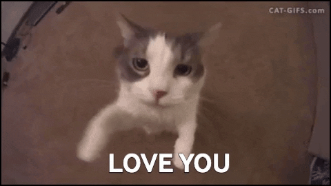 I Love You Reaction GIF by swerk