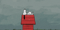 rain GIF