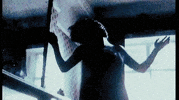 special one GIF by dani