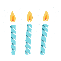 Party Birthday Sticker by Alexa99