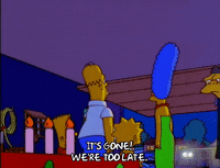 homer simpson GIF
