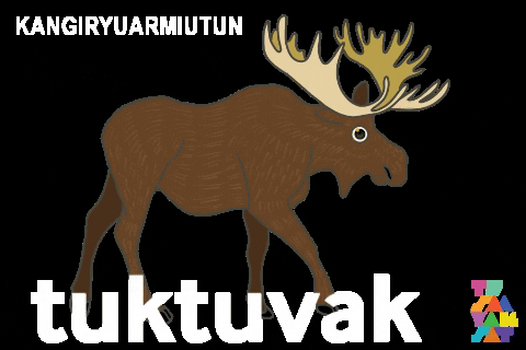Inuvialuit GIF by Tusaayaksat Magazine