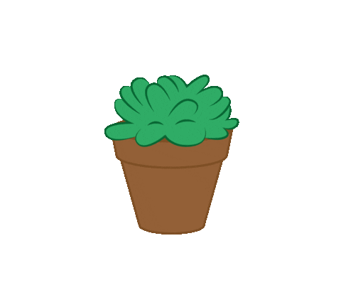 elixabetaduriz giphyupload plant cactus cacti Sticker