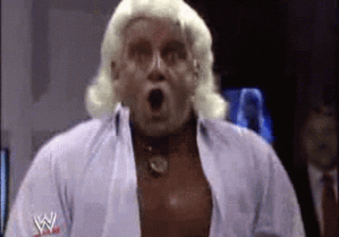 flair ric GIF