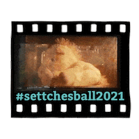 Unicorn Einhorn Sticker by Settchesball