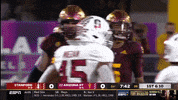 gostanford  GIF