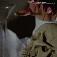 Coffin Joe Film GIF by Arrow Video
