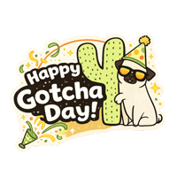 Pugparty Sticker by Arizona Pug Party and Rescue