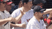 minnesota twins baseball GIF by MLB