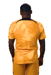 Fifaworldcup Bergwijn Sticker by OnsOranje