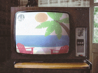 Palm Tree Beach GIF by University Of Lynchburg