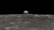 moon history GIF by NASA