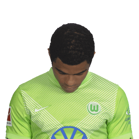 Vfl Wolfsburg Smile Sticker by Bundesliga