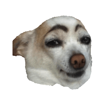 Dog Sticker by imoji