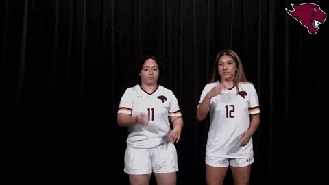 College Sports Sport GIF by CUCougars