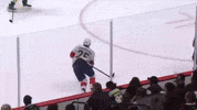 Florida Panthers GIF