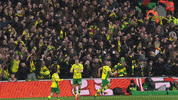 NorwichCityFC ncfc norwich city otbc GIF