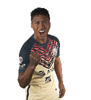 Celebrate Pedro Aquino Sticker by Club America