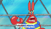 season 9 sanctuary GIF by SpongeBob SquarePants