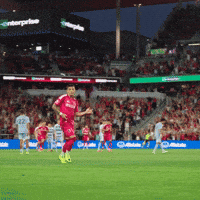 Dance Celebration GIF by St. Louis CITY SC