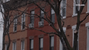 new york city GIF by MY HOUSE