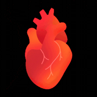 Osteopathic Medicine Heart GIF by PCOM