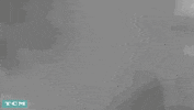 Black And White Film GIF by Turner Classic Movies