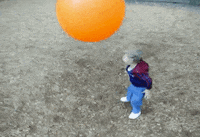 americas funniest home videos GIF by AFV Babies