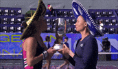 Zvonareva GIF