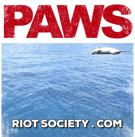 Shark Attack Hello GIF by Riot Society