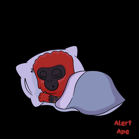 Sleep Sleeping GIF by VeeFriends