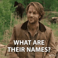 Who Are They Little House On The Prairie GIF by NETFLIX