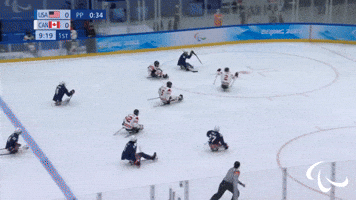 USA Scores
