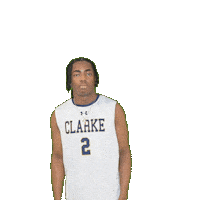 Clarke Pride Sticker by Clarke University