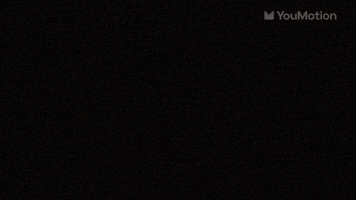 Holiday festive motion visual pack transitions
