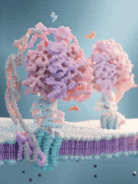 tomvh__ protein biology atp adp GIF