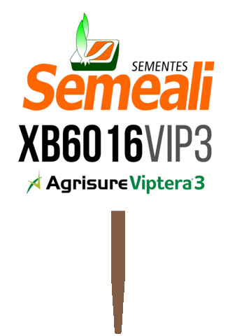 Semeali Sticker by semealisementes