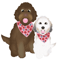 Happy In Love Sticker by zoopeez