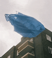 Salim_Adam london nishika nimslo hypebeast GIF