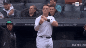 Happy Lets Go GIF by YES Network