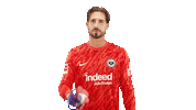 Eintracht Frankfurt No Sticker by Bundesliga