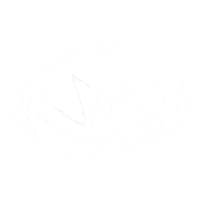 season szns Sticker by Collide Student Conference