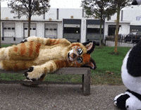 Furrie Dancing GIF by Minky Mom