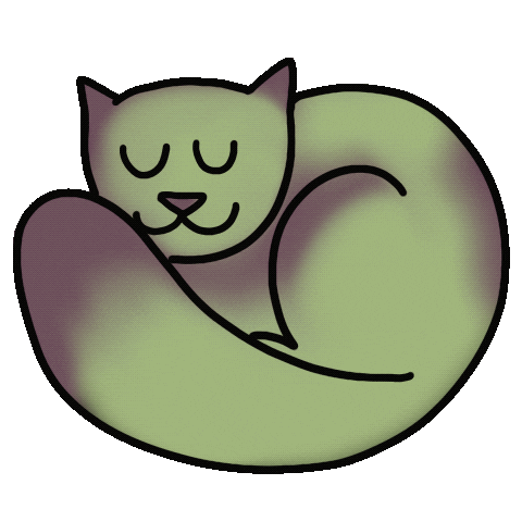 pavaconda giphyupload cat gatto funnycat Sticker