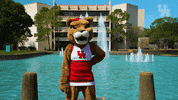 houstoncougars houston sasha gocoogs shasta GIF