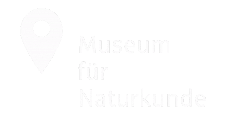 Tag Berlin Sticker by Berliner Sparkasse