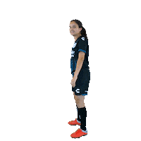 Gallos La Rosalia Sticker by Club Querétaro