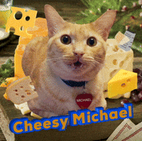 Cat Cheese GIF