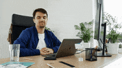 Radek Facepalm GIF by Applover